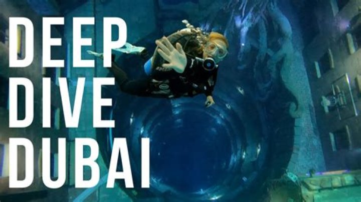 A Deep Dive For Curious Minds