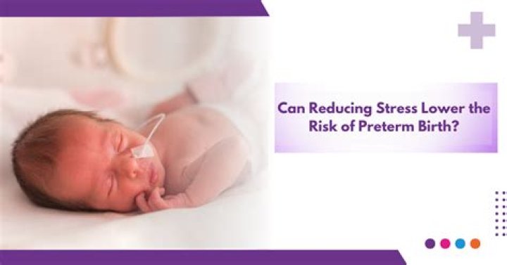 A Guide To Predicting Preterm Birth Risk