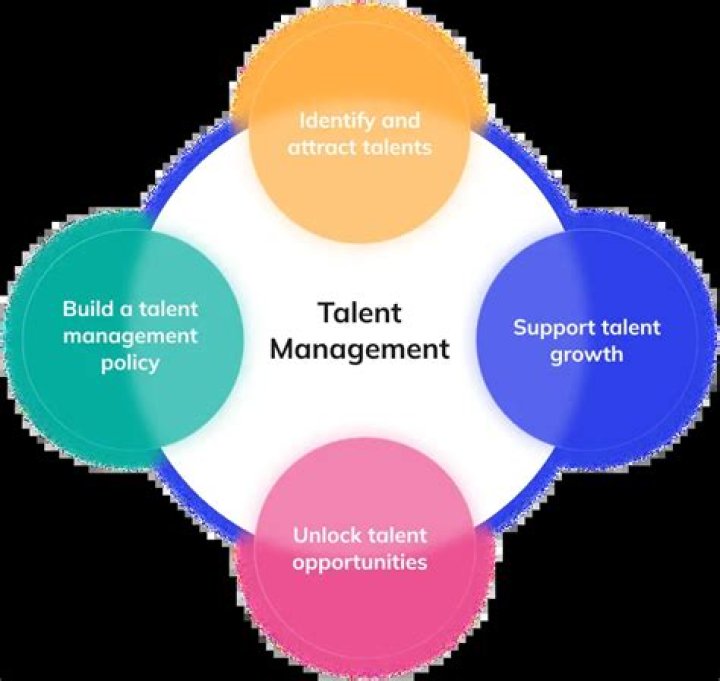 A Journey Of Talent And Transformation
