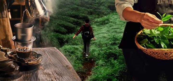A Journey To Discover And Delight