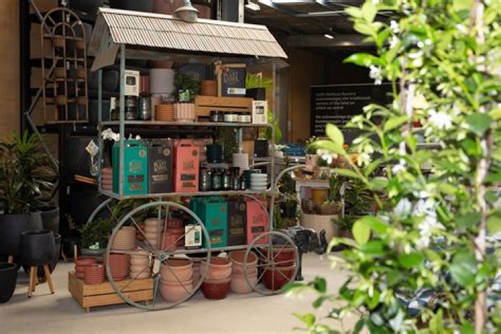 A Treasure Trove Of Style, Functionality, And Sustainability