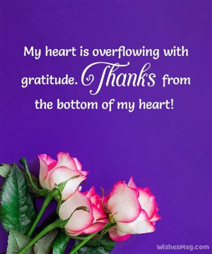 Discover Profound Insights And Heartfelt Wishes