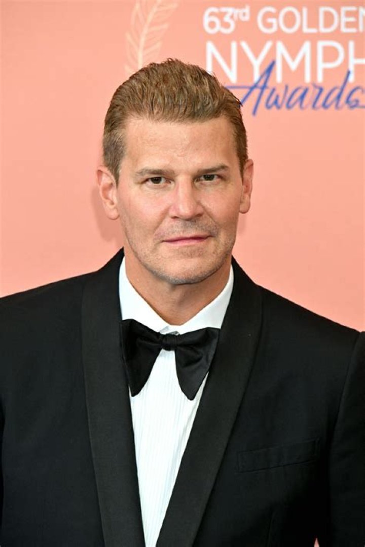 Discover The Alluring World Of David Boreanaz In Captivating Pictures