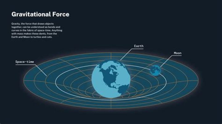 Discover The Enigmatic World Of Kin Fields: Unraveling Nature's Force Fields