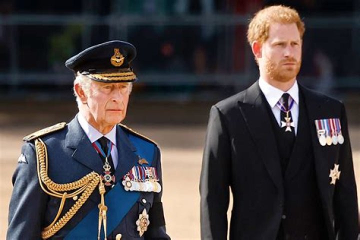 Discover The Extraordinary Story Of Prince William And Prince Harry