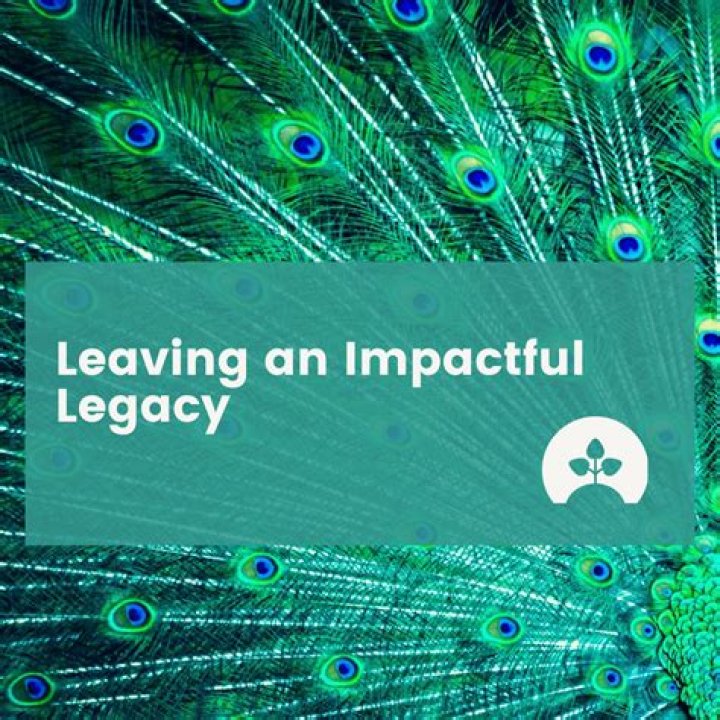 Discover The Impactful Legacy Of Jessica Adams Lindstrom In Phoenix
