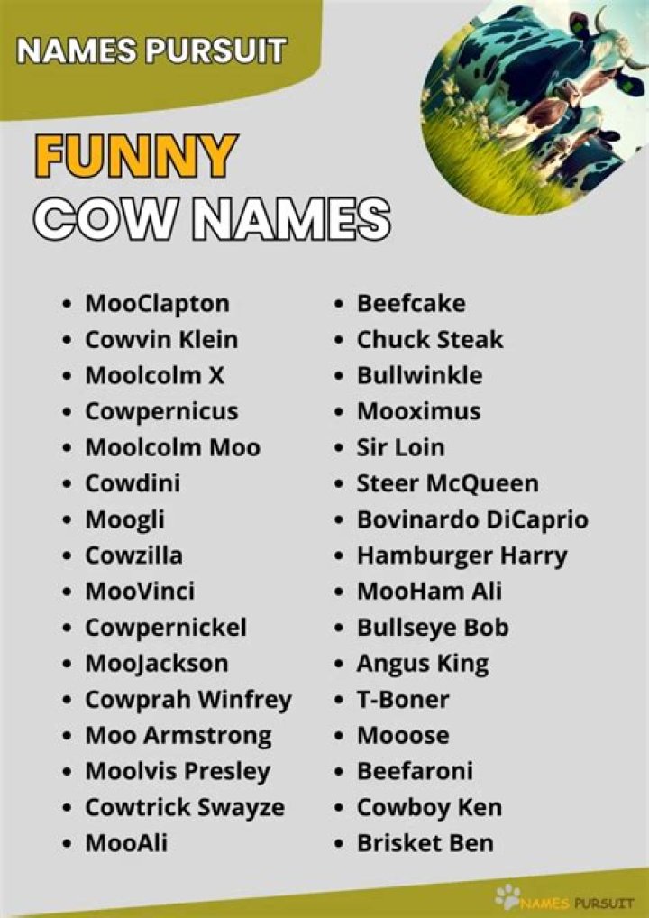 Discover The Secrets Of Punny Cow Names