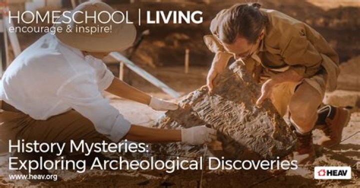 Discoveries And Insights For Educators