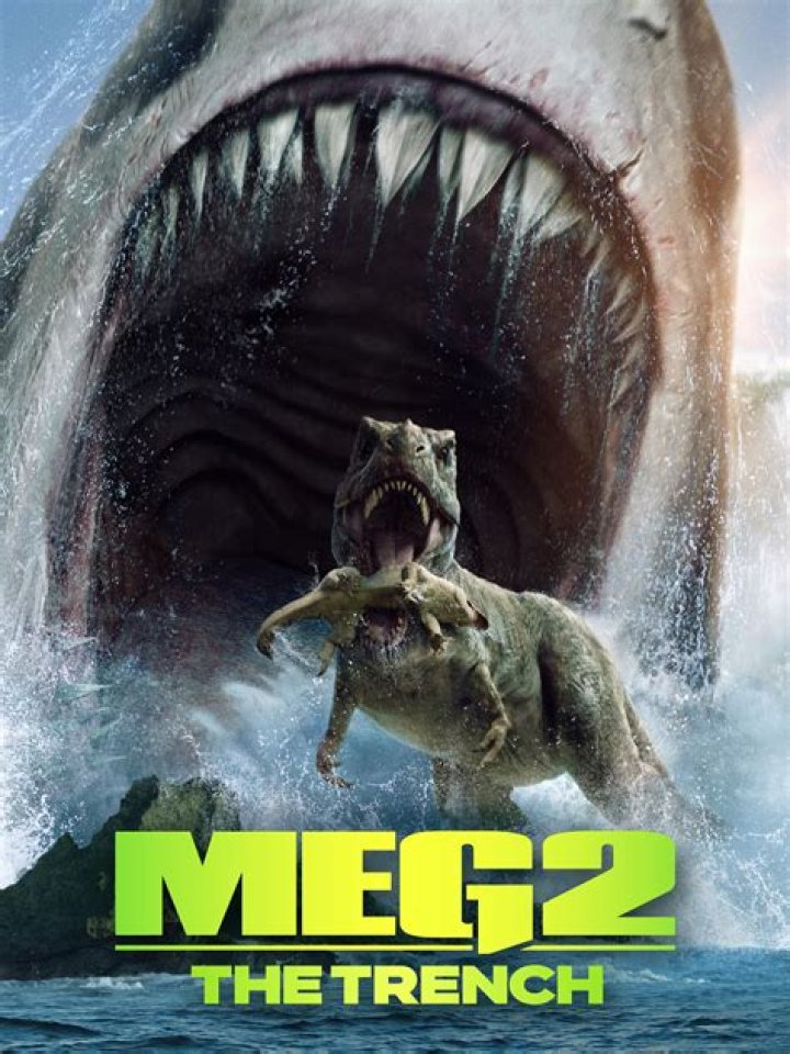 Discoveries And Insights From "Meg's" Leaks