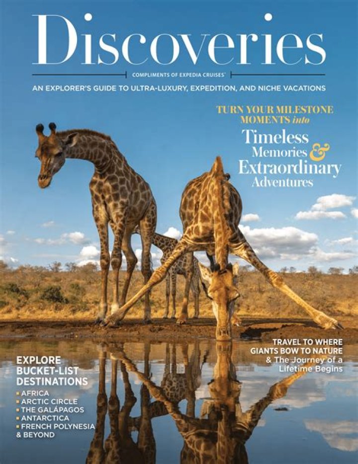 Discoveries For The "Leg8" Niche