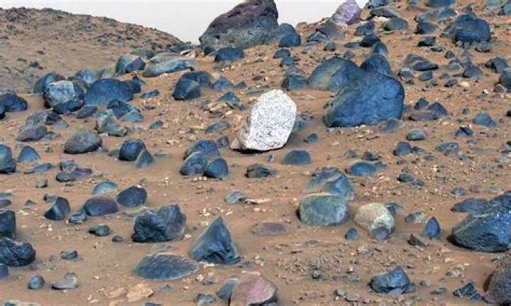 Discoveries From Dr. Angela White