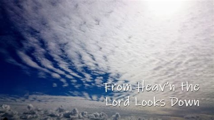 Discoveries In "Looking Down From Heaven" Quotes