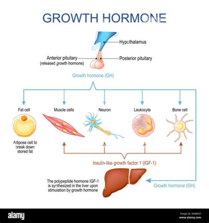 Exploring Growth Hormone Deficiency And Its Impact