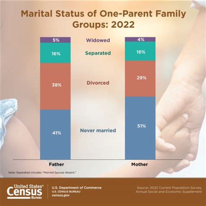 Exploring Marital Status And Family Dynamics