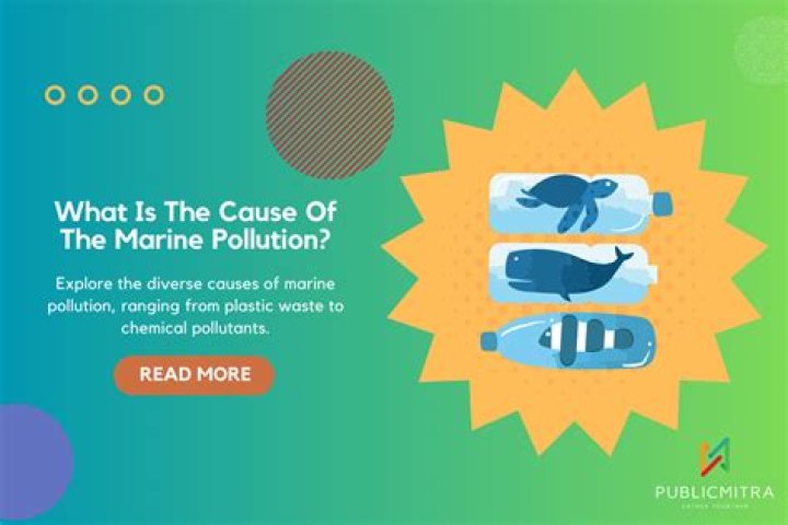 Exploring The Hidden Dangers Of Marine Pollution