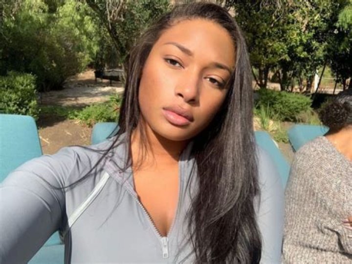 Is Meg The Stallion Pregnant?