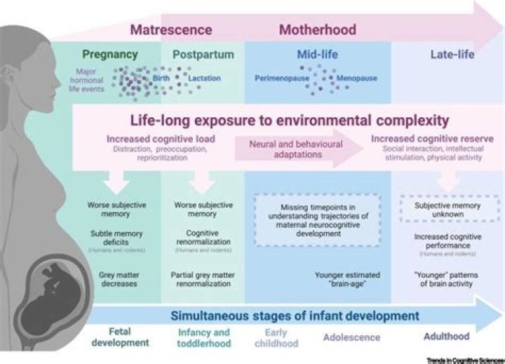 Motherhood, Career, And Social Impact