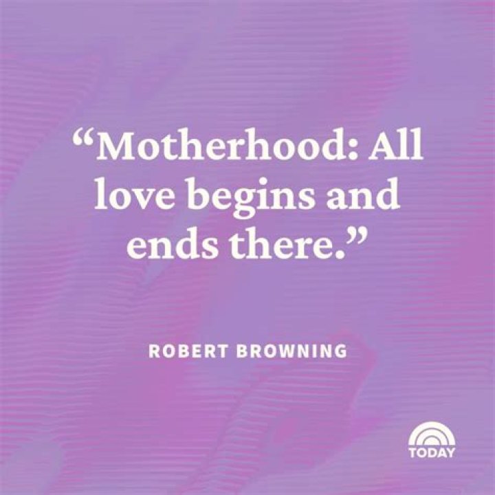 Shannon Bream's Personal Choice On Motherhood