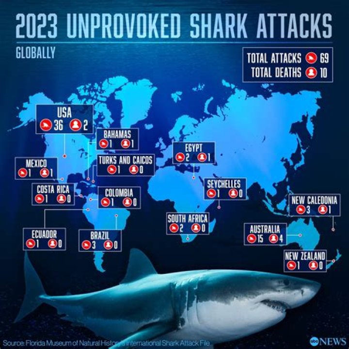 Shark Attack In Clearwater: Uncover The Hidden Dangers
