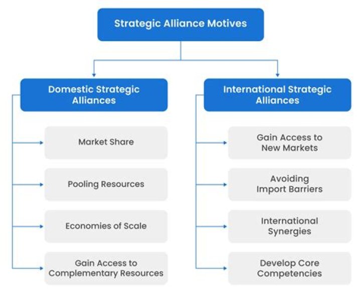 Strategies, Alliances, And Unseen Revelations