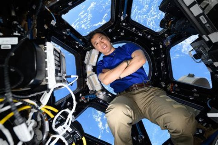 Surprising Discoveries And Untold Insights