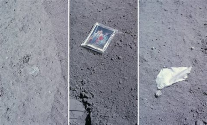 Unearth Funny Jokes And Surprising Insights