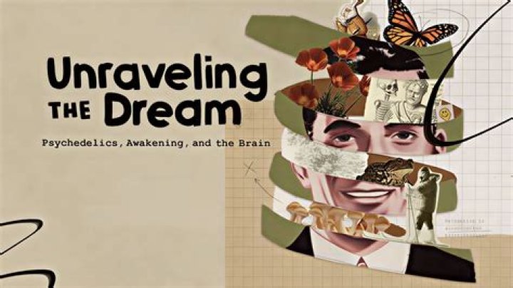 Unraveling Consciousness: Discoveries From Jrgen Holzhauer