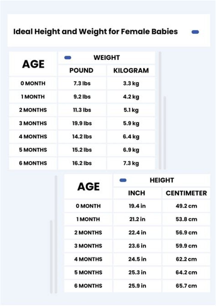 Unveiling Brittany Snow's Physical Attributes: Height, Weight, And More