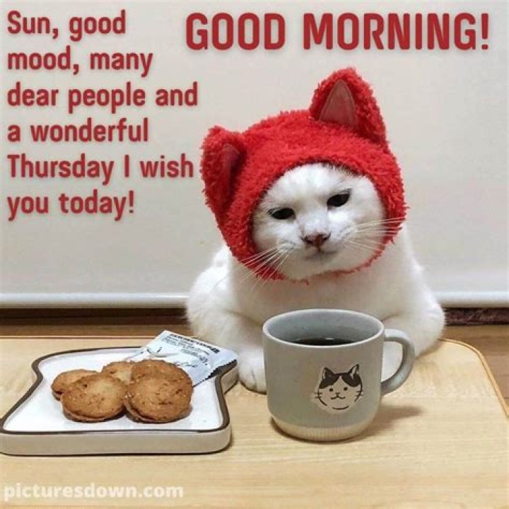 Unveiling The Power Of "Good Morning Thursday Friends": Discoveries And Insights