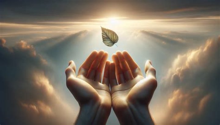 Unveiling The Profound Wisdom Of Grace And Mercy: Discoveries That Transform