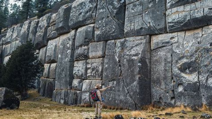 Unveiling The Secrets Of Sage Robbins' Towering Height: Insights And Discoveries