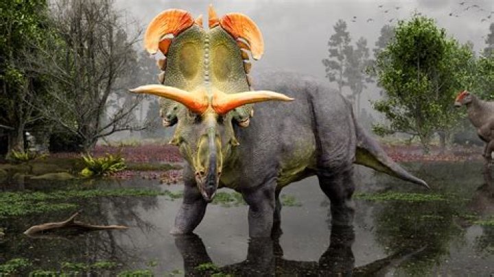 Unveiling The Secrets Of The Niger Delta: Discoveries And Insights