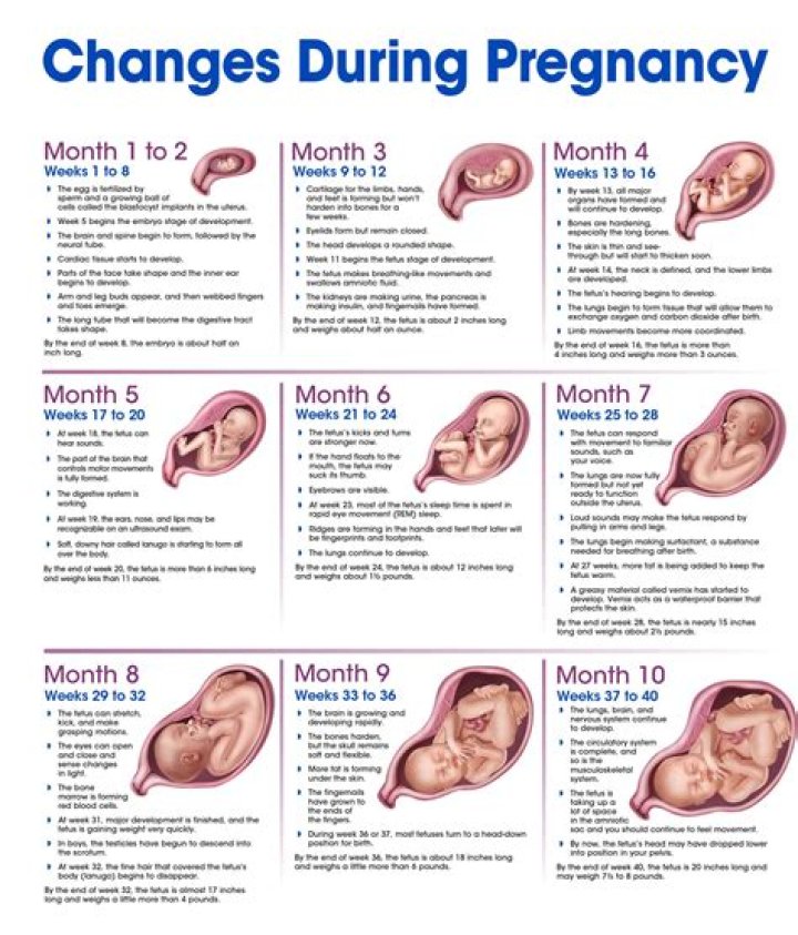 Unveiling The Truth: Iliza's Pregnancy Journey Explored
