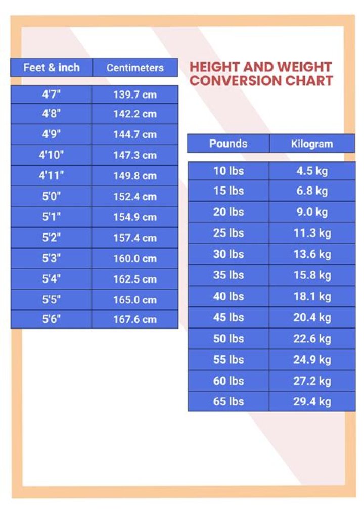Weight, Height, And The Intriguing Details