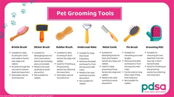 Your Guide To The Ultimate Pet Brush